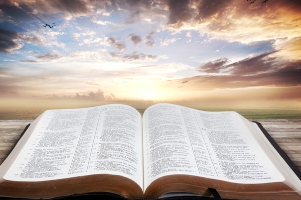 最新！2022年QS世界大學(xué)排名發(fā)布，MIT全球第一！清華北大擠進前20！